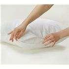 Bed Bug Proof Mattress Cover photos