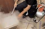 Bed Bugs Wiki images