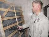 images of Steam Bed Bugs