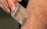 images of Hotels With Bed Bugs