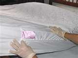 photos of Mattress Cover Bed Bugs photos of Mattress Cover Bed Bugs