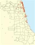Chicago Bed Bugs