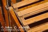 Bed Bugs Austin pictures