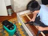 Does Steam Kill Bed Bugs pictures
