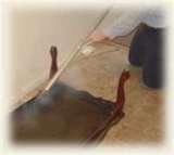 Does Steam Kill Bed Bugs
