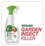 Cedar Oil Bed Bugs pictures