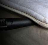 Kill Bed Bugs Spray