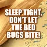 Cedar Oil Bed Bugs