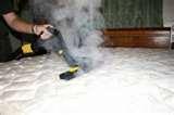 Bed Bugs Treatment Cost images