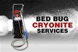 photos of Freezing Bed Bugs
