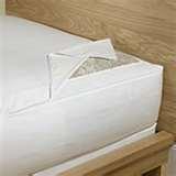 Treating Bed Bugs photos