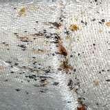 Bed Bugs Images pictures