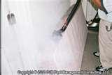 Does Steam Kill Bed Bugs