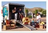 Bed Bug Fumigation pictures