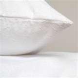 Bed Bug Protector Bed Bug Protector