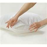 pictures of Bed Bug Protectors