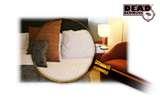 Where Do Bed Bugs Live Where Do Bed Bugs Live