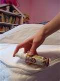 Spray To Kill Bed Bugs pictures