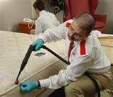 How To Kill Bed Bugs Naturally images