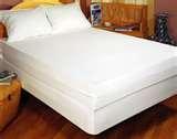 Bed Bug Protectors