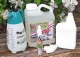images of Best Bed Bug Spray