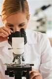 images of What To Do About Bed Bugs