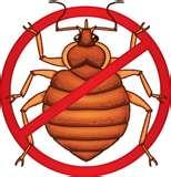 photos of Bed Bugs Freezing