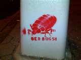 photos of Spray To Kill Bed Bugs