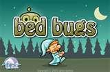 pictures of Bed Bugs In Nyc