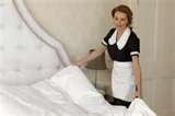 images of Bed Bugs Kill images of Bed Bugs Kill