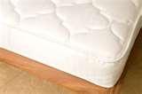 pictures of Bed Bugs Exterminators