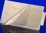 Bed Bug Traps