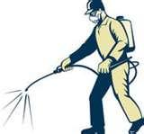 Bed Bug Exterminator Cost