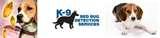 Bed Bugs Detection images