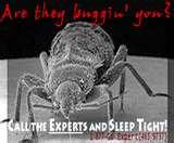 Bed Bugs Ohio photos Bed Bugs Ohio photos