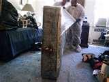 pictures of Bed Bug Kill pictures of Bed Bug Kill