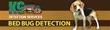 Bed Bugs Detection