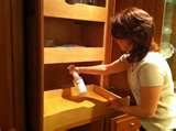 pictures of Bed Bug Kill pictures of Bed Bug Kill