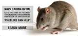 Bed Bug Exterminator Cost photos