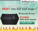Bed Bugs For Sale photos