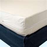 images of Mattress Covers For Bed Bugs