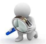 Bed Bug Solutions photos