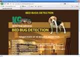 Bed Bugs Detection photos