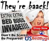 photos of Bed Bug Dogs For Sale
