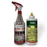 photos of Bed Bugs For Sale