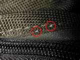 Bed Bug Detection