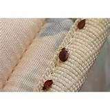 pictures of Treatment For Bed Bugs