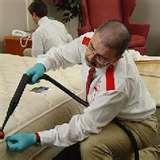 photos of Insecticides For Bed Bugs