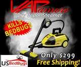 Steamer Bed Bugs photos