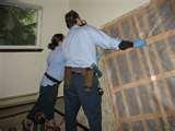 Bed Bug Service images